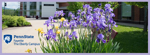 PSU blooming flowers in front of Community Center